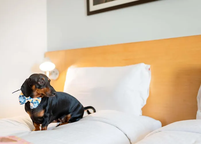 이비스 센트로 *