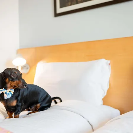 이비스 센트로 *