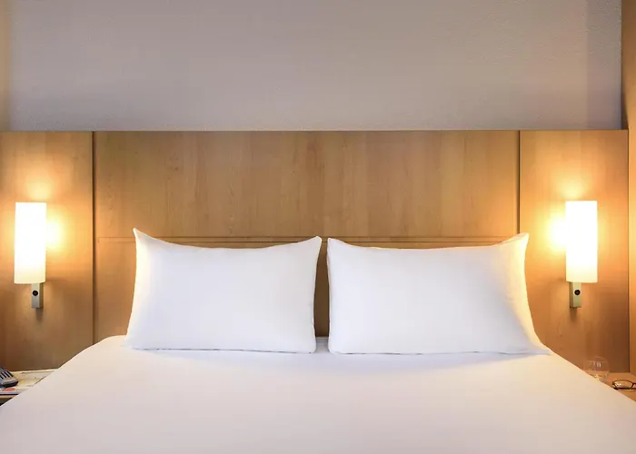 Ibis Centro فندق